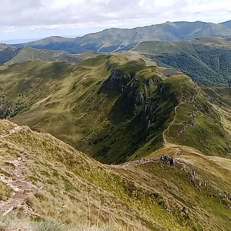 Le Cocon Du Cantal Vakantiehuis Pléaux