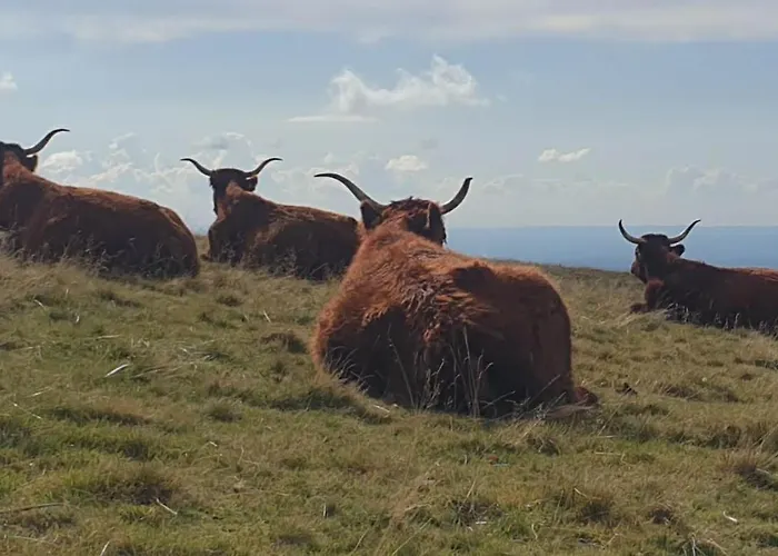 Maison De Village Holiday home Pleaux